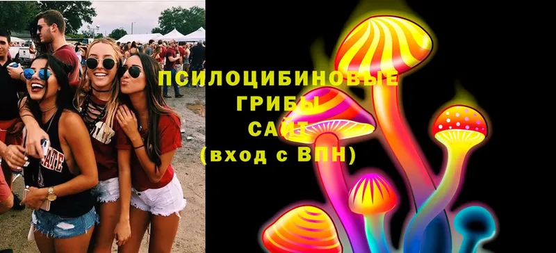 даркнет официальный сайт  Лихославль  Галлюциногенные грибы Psilocybine cubensis 